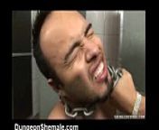 Tranny Fucks Her Slave in WC! from shemale toilet