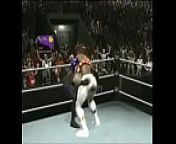 nicole vs the undertaker clip from wwe brock lesnar vs undertaker