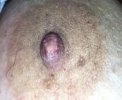 pezones erectos de mi esposa from digimon of mastemon nipples