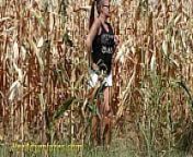 Pee in a corn field from girl with a full bladder