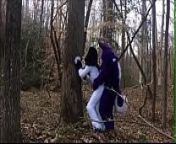 Fursuit Couple Mating in Woods from furry girl mates with man