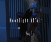 Secrecy: THE MOONLIGHT AFFAIR from uncensored hentai outdoor