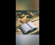 Numbers 9-11 KJV (Full Bible Read Through Video #29) from bible ru video ck nude oil milk