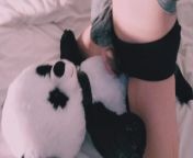 Riding Pandy teddy bar very fast with satisfyer group masturbation humping pillow in panties from yuri saigusa