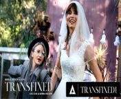 TRANSFIXED - Lola Fae Will Give Trans Bride-To-Be Korra Del Rio Whatever She Wants from arabian dar