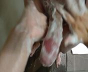 She Knows How To Wash A Big Juicy Cock in the Shower from officemate leela