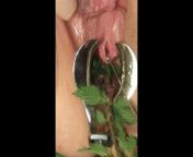BDSM Pussy Torture - Speculum Stretched Nettles in her Peehole & Vagina Till she pisses herself from nettle insertion
