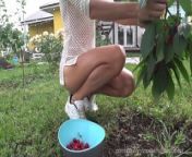 Nude Picking Cherries in front of Neighboars (teaser, Music) from nahul uttalakkadipamba nude pick