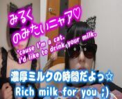 (Niina's gokkun cat)All I want is your milk! from gokkun
