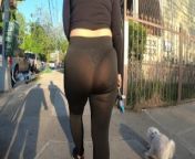 Wife in See Through Black Tights walking the dog from vpw