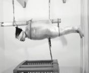 Wrapped & Trapped: CRAZY shaking orgasm in plastic wrap suspension! Bdsmlovers91 from allabout ass