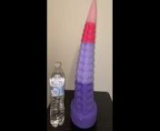 What color can I reach 16 inch dildo - KORA NOX from 16 pskes