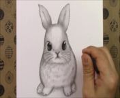 How to draw cute rabbit pencil drawing video from kajol ajay six video