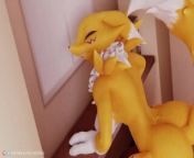 Renamon want sex with you so much from henimon