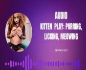 Kitten Play Audio: Purring, Meowing, Licking from the caramel kitten pussy solo